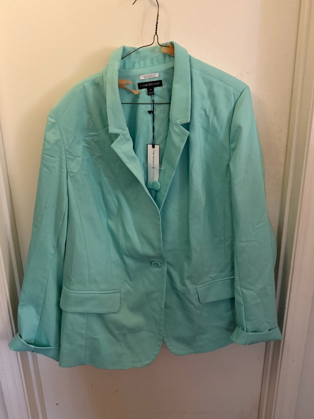 Lane Bryant Mint Green Blazer W 24